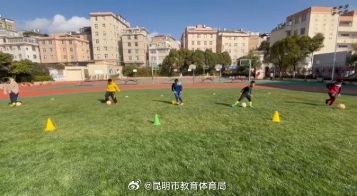 现有阵容与